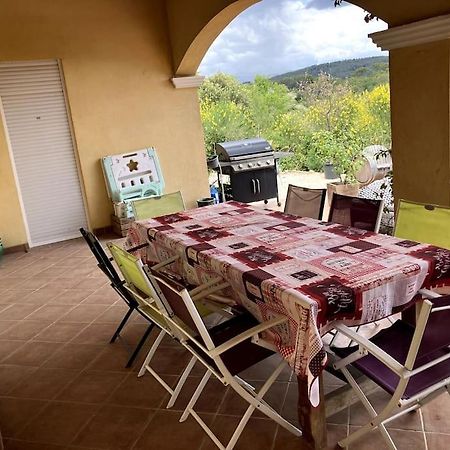 Maison 8/10 Pers Au Calme Absolu Draguignan Eksteriør billede